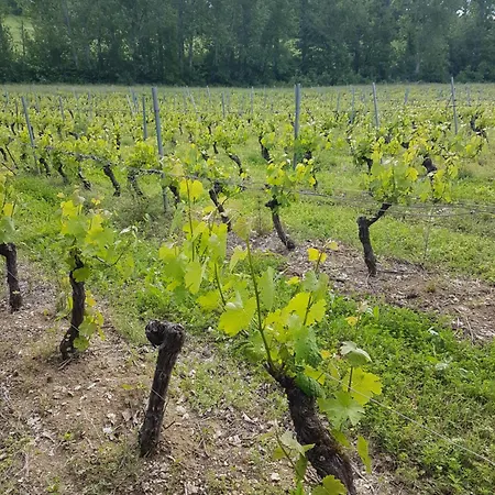 Nocleg ze śniadaniem La Reverdie Cahuzac-sur-Vère