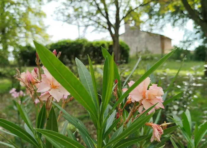 فندق مبيت وإفطار La Reverdie 3*