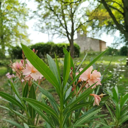 Alojamento de Acomodação e Pequeno-almoço La Reverdie 3*