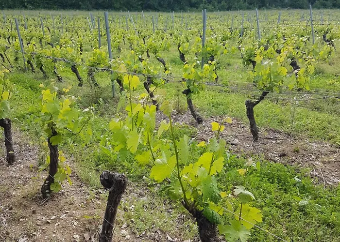 Frühstückspension La Reverdie Cahuzac-sur-Vère